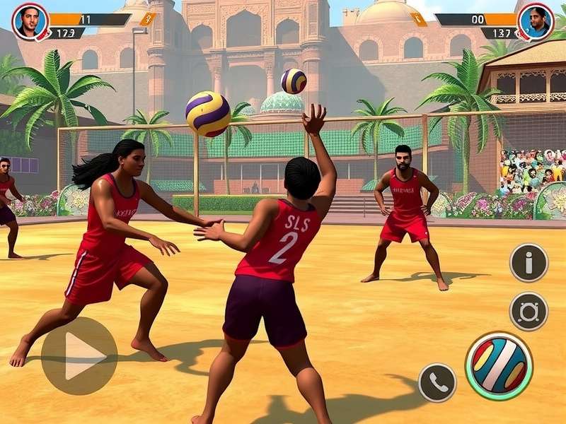 Volley Dynasty India features and controls overview